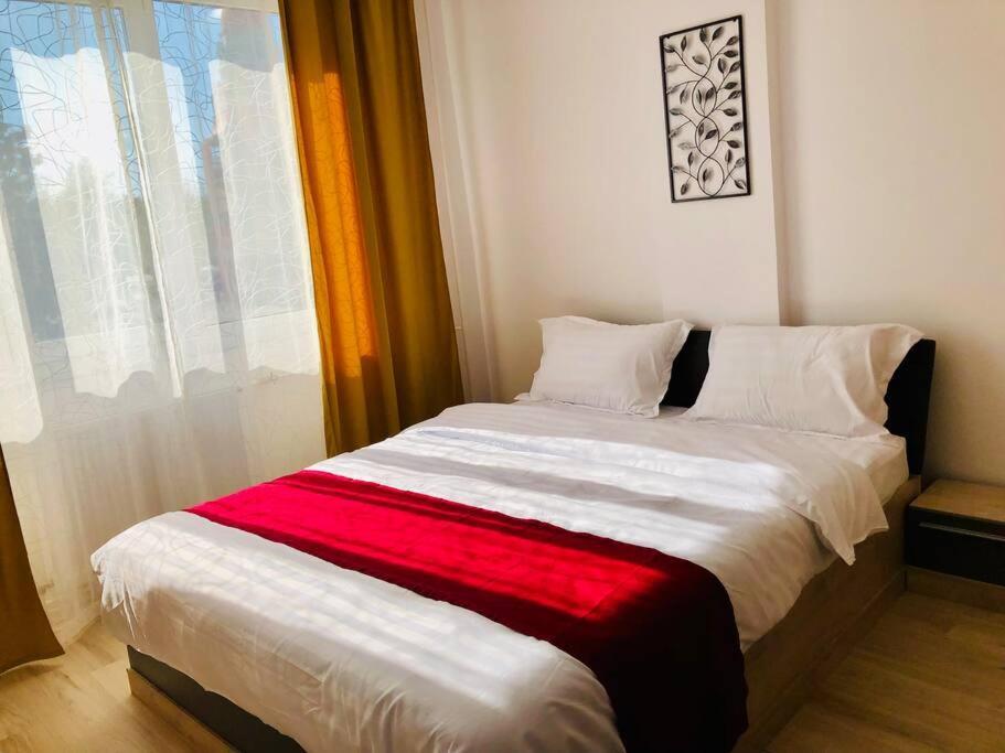 Joy City Stay Victoriei 7G-9 Timisoara Exterior photo