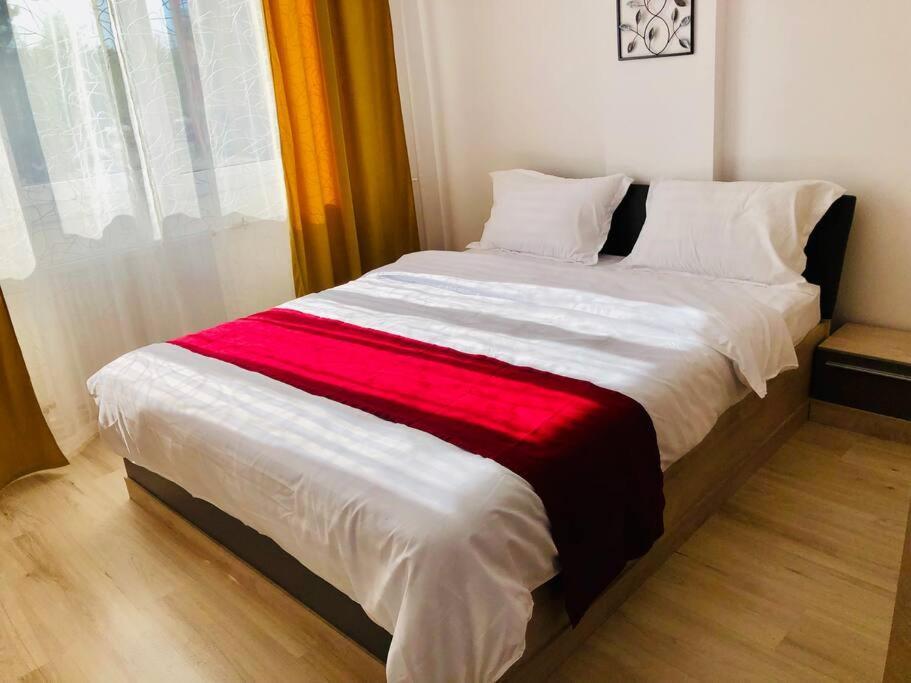 Joy City Stay Victoriei 7G-9 Timisoara Exterior photo